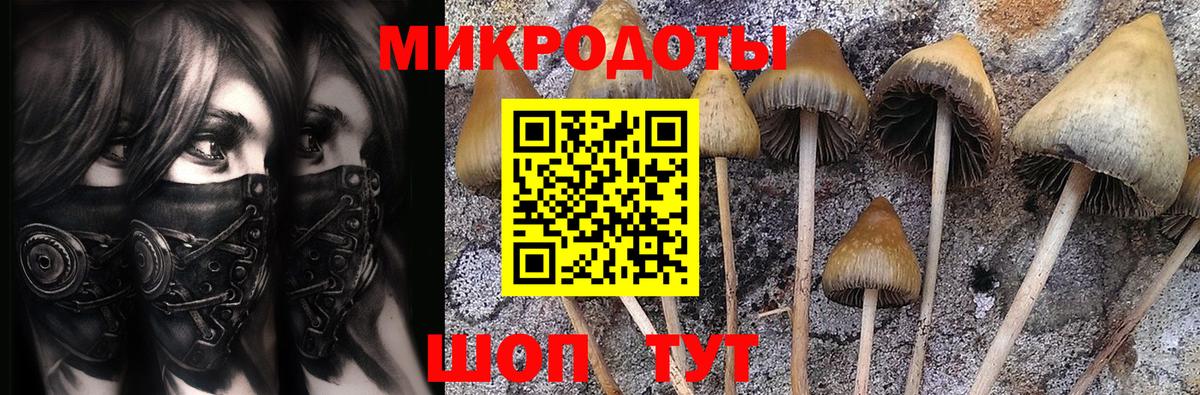 Великие Луки  Галлюциногенные грибы прущие грибы  Псилоцибиновые грибы Cubensis  купить наркотик  Вход с VPN 